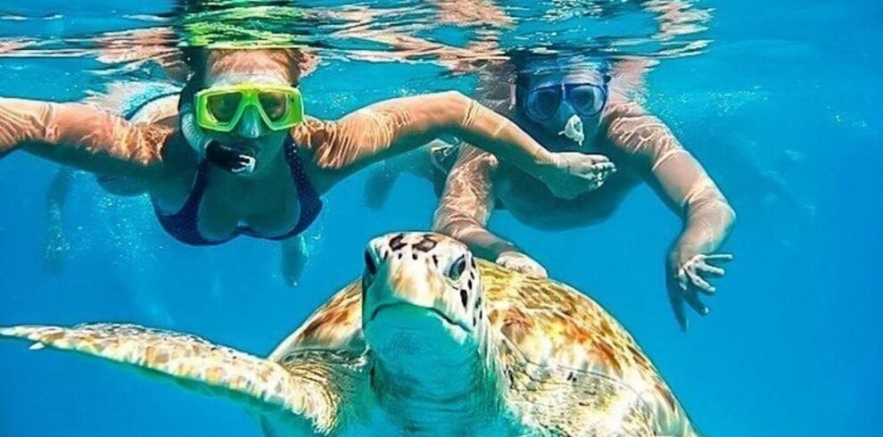 optimized_nado_con_tortugas_en_mancora